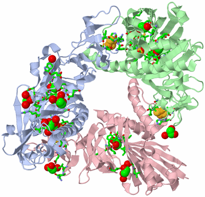 Image Asym./Biol. Unit - sites