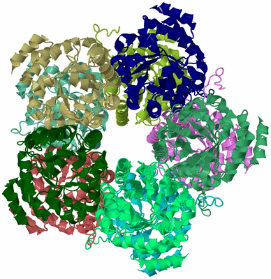 Image Biological Unit 1