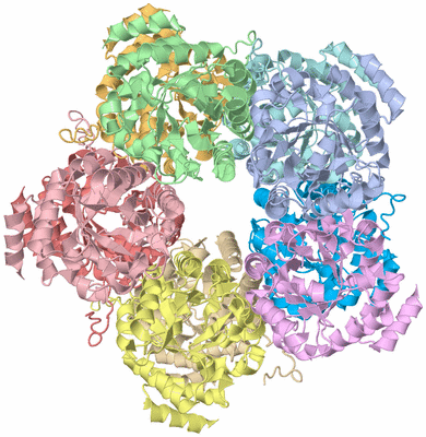 Image Biological Unit 2