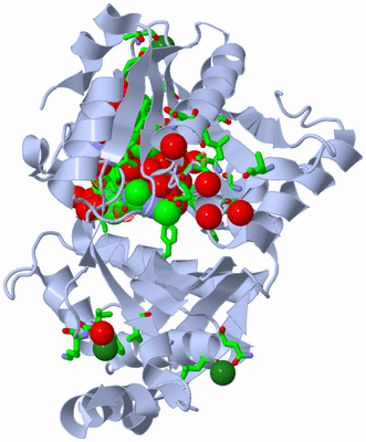 Image Asym./Biol. Unit - sites