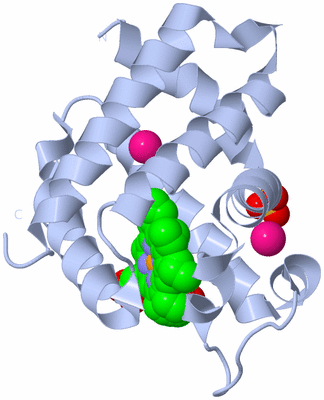 Image Biological Unit 1