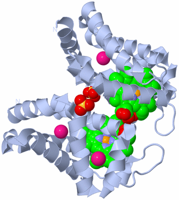 Image Biological Unit 2