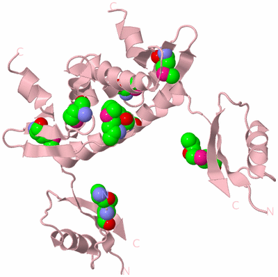 Image Biological Unit 2