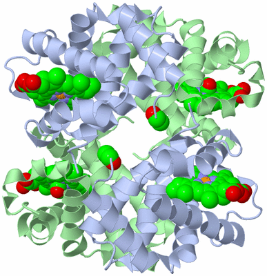 Image Biological Unit 1