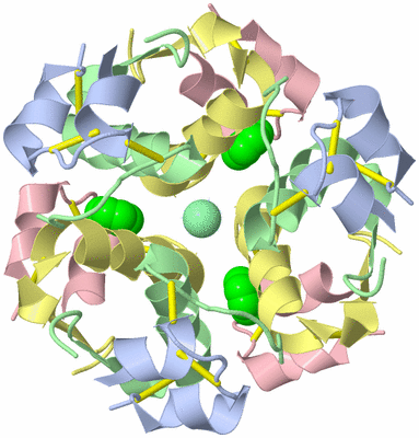 Image Biological Unit 1