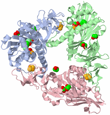 Image Asym./Biol. Unit