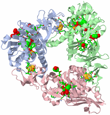 Image Asym./Biol. Unit - sites