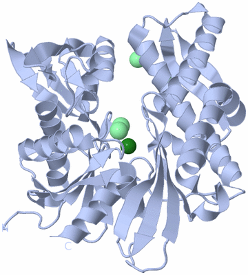 Image Biological Unit 1