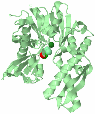 Image Biological Unit 2