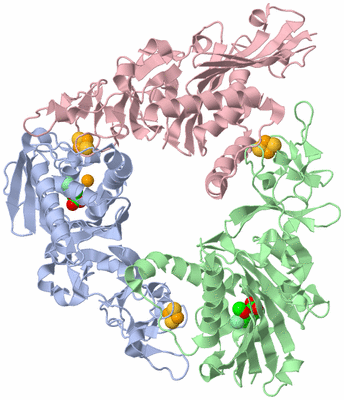 Image Asym./Biol. Unit