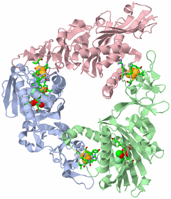 Image Asym./Biol. Unit - sites