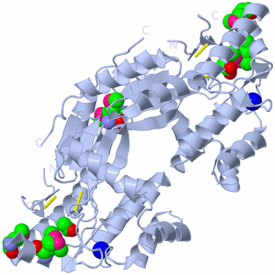 Image Biological Unit 1