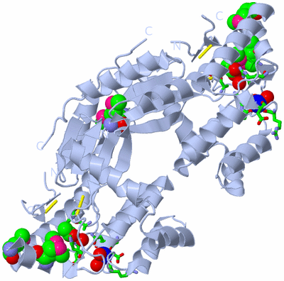 Image Biol. Unit 1 - sites