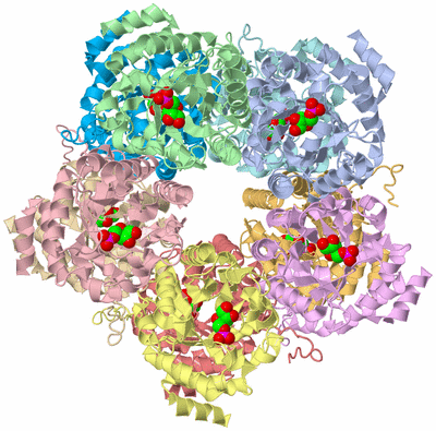 Image Biological Unit 1