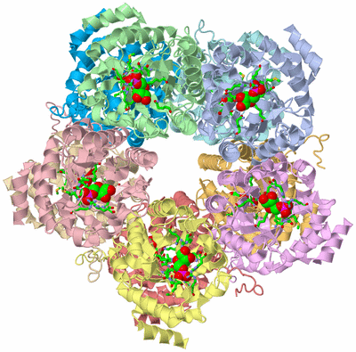 Image Biol. Unit 1 - sites