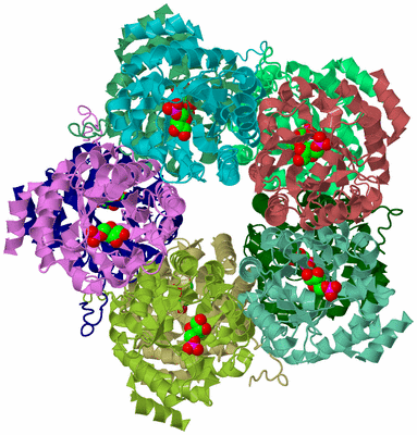 Image Biological Unit 2