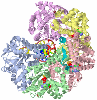 Image Biological Unit 1