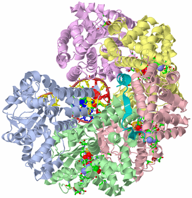 Image Biol. Unit 1 - sites