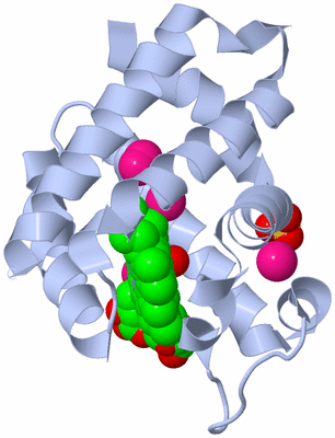 Image Biological Unit 1