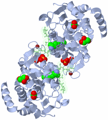 Image Biological Unit 1