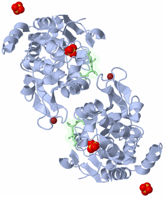 Image Biological Unit 1