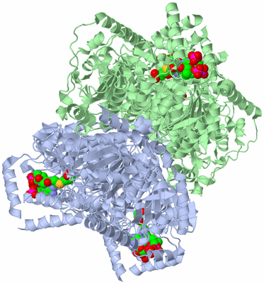 Image Biological Unit 1