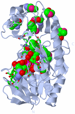 Image Biol. Unit 1 - sites