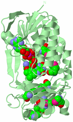 Image Biological Unit 2