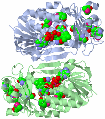 Image Biological Unit 3