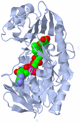 Image Biological Unit 1