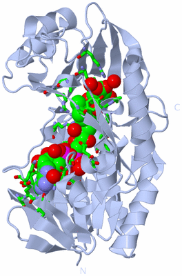 Image Biol. Unit 1 - sites