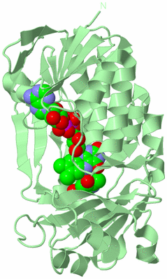 Image Biological Unit 2