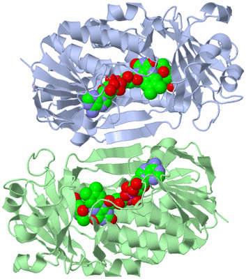 Image Biological Unit 3