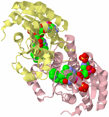 Image Biological Unit 2