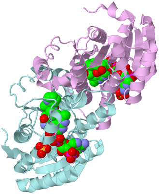 Image Biological Unit 3