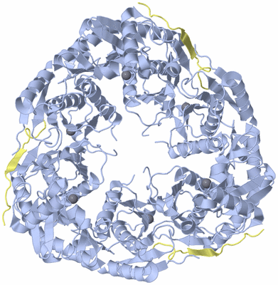 Image Biological Unit 1