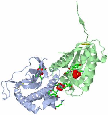 Image Biol. Unit 1 - sites