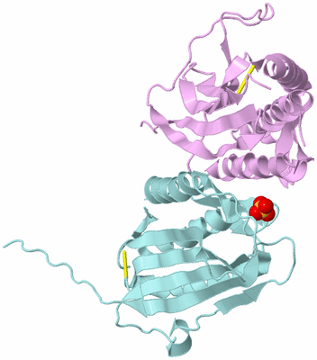 Image Biological Unit 3