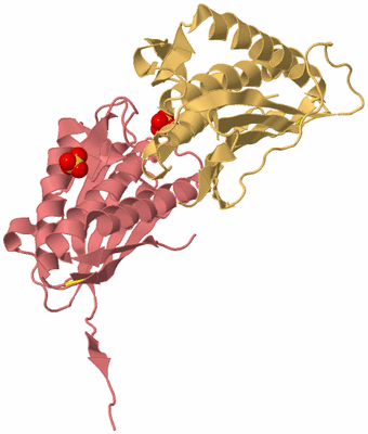 Image Biological Unit 4