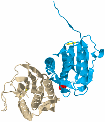 Image Biological Unit 5