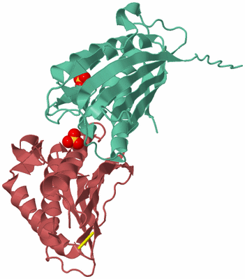 Image Biological Unit 6