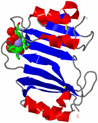 Image Asym. Unit - sites