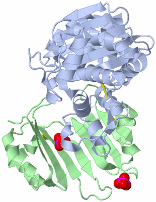 Image Biological Unit 1