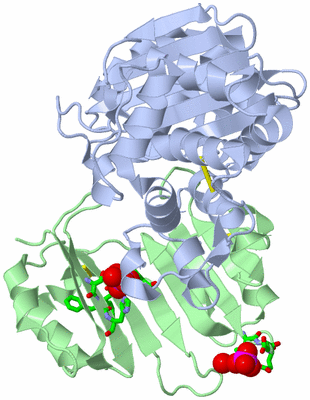 Image Biol. Unit 1 - sites