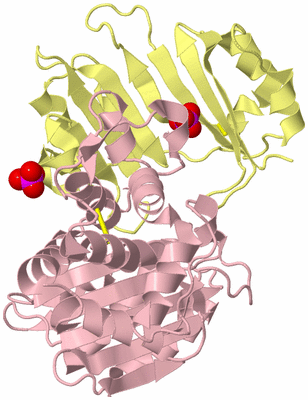 Image Biological Unit 2