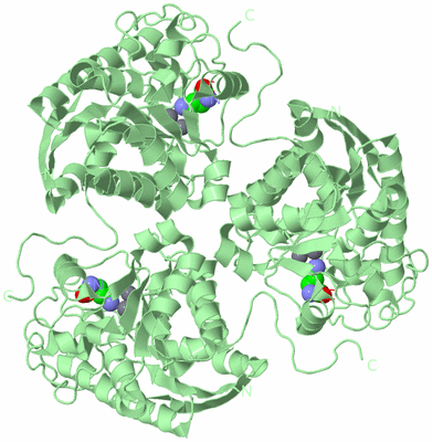 Image Biological Unit 2