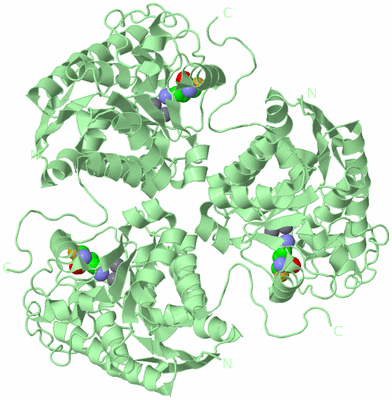 Image Biological Unit 2