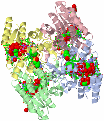 Image Asym./Biol. Unit - sites