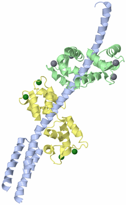 Image Biological Unit 1