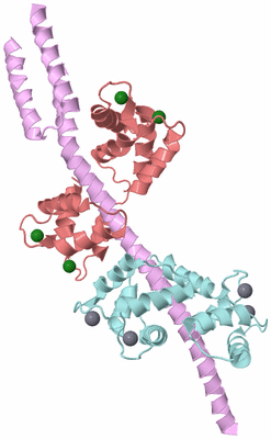 Image Biological Unit 2